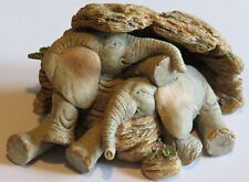 Tuskers drowsy duo for sale  MOLD