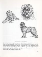 Briard vintage 1963 for sale  COLEFORD