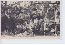 Landes chasse palombes d'occasion  France