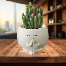 Small cactus planter for sale  Shipping to Ireland