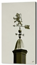 Scottish lion weathervane for sale  High Point