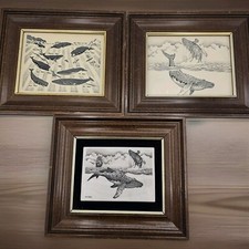 Etching whale art for sale  Golden Valley