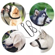 Figure dog lead for sale  HATFIELD