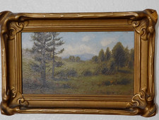 Beautiful landscape clearing for sale  Reedley