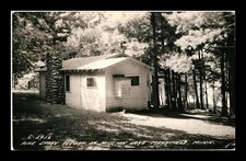 shore pine for sale shore pine for sale West Chester