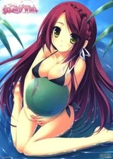 Software sottoposto kamira usato  Spedire a Italy