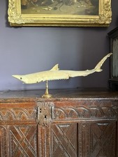 Antique vintage taxidermy for sale  UCKFIELD