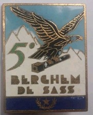 Distintivo artiglieria montagn usato  Italia