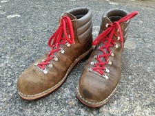 Daisy roots alpin for sale  TORQUAY