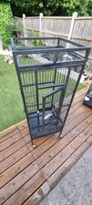 Medium large parrot for sale  LONDON