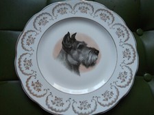 Fine english bone for sale  BARNSLEY