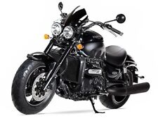 Terminali marmitte triumph usato  Roma