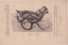 Ancienne gravure médicale d'occasion  Aigues-Mortes