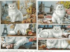 Gourmet friskies cartoline usato  Martinsicuro