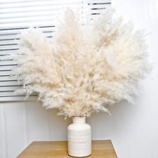 Pampas Pampasgras 10 Stück Gras Deko Wohnzimmer Schlafzimmer Garten 43cm B111 comprar usado  Enviando para Brazil