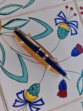 Penna waterman charleston usato  Nocera Inferiore