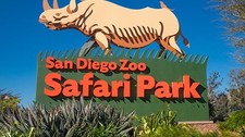 San diego safari for sale  Vancouver