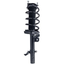 Fully loaded strut for sale  USA