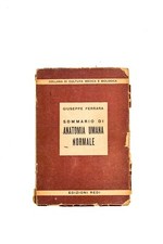 Libro ferrara sommario usato  Torino