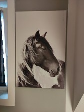 Druck leinwand pferd gebraucht kaufen  Porta Westfalica