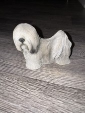 Lhasa apso dog for sale  FALMOUTH