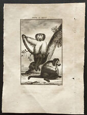 1800 buffon singe d'occasion 1800 buffon singe d'occasion  Besançon