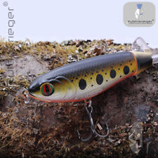 Raubfischmagnet plopper berfl� gebraucht kaufen  Birkenfeld