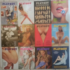 Usado, Coleção Playboy 1973 janeiro a dezembro. Tudo em muito bom ou melhor estado. comprar usado  Enviando para Brazil