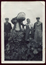 Old photo. burgundy d'occasion  Expédié en Belgium
