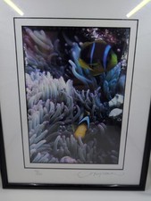 David leach photograph for sale  Cottage Grove