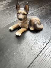 Harvey knox alsatian for sale  ROCHFORD