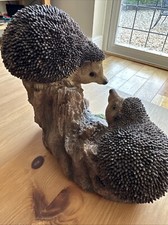 Playful baby hedgehogs for sale  UK