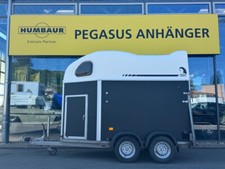 Cheval liberte gold gebraucht kaufen  Gevelsberg