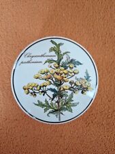 Villeroy boch chrysanthemum gebraucht kaufen  Oberndorf am Neckar