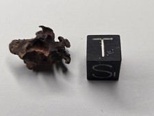 Imilac stony iron d'occasion  Expédié en Belgium