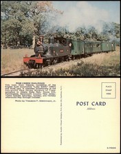 Pine creek railroad gebraucht kaufen  Ortrand