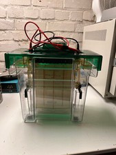 Bio rad protean gebraucht kaufen  Gießen