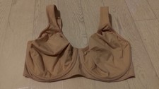 Rosa faia größe gebraucht kaufen  Mönchengladbach