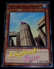 Yugioh testudo erat usato  Fano