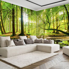 Sonne wald landschaft gebraucht kaufen  Forst (Lausitz)
