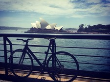 Cinelli mash 53cm for sale  HAYWARDS HEATH
