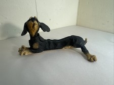 Breed apart dachshund for sale  LINCOLN