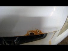 Hood sedan dual for sale  Saint Paul