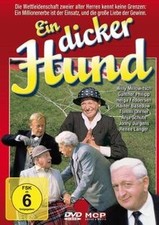 Dicker hund franz gebraucht kaufen  Berlin