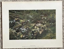 Vintage 1962 andrew for sale  Old Orchard Beach