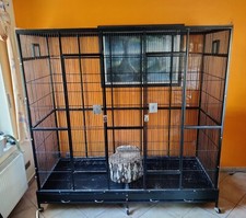 Große zimmervoliere 2oo gebraucht kaufen  Diepholz