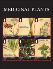 Montserrat 2011 medicinal for sale  Brooklyn