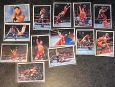 Wwf 1995 panini for sale  NOTTINGHAM