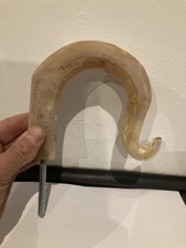 Rams horn walking for sale  CARMARTHEN