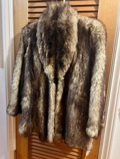 Brown possible raccoon for sale  Phoenix